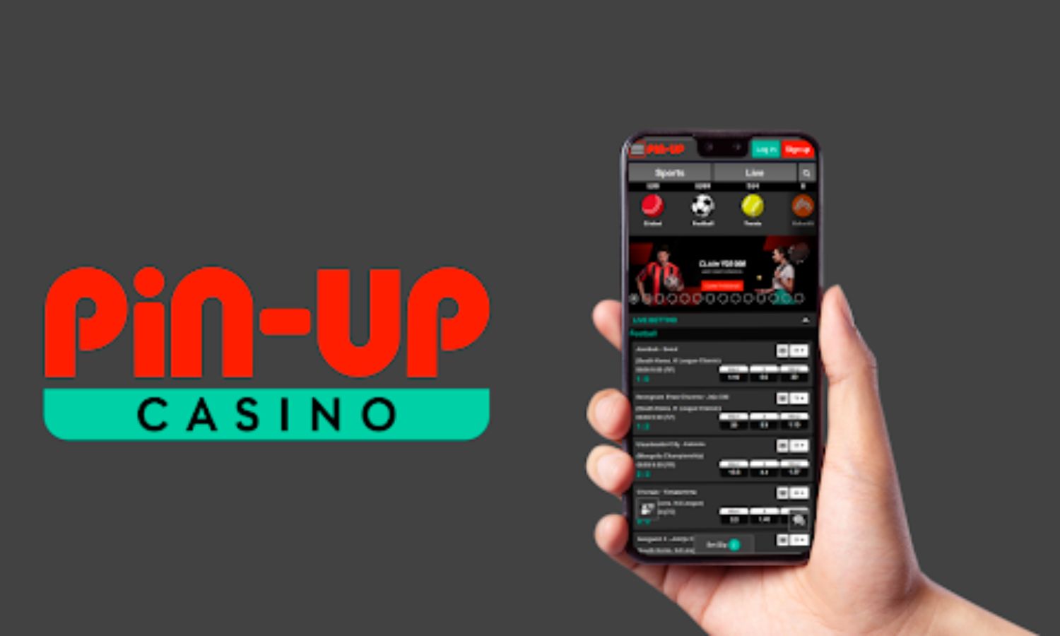 Pin Up Casino Online